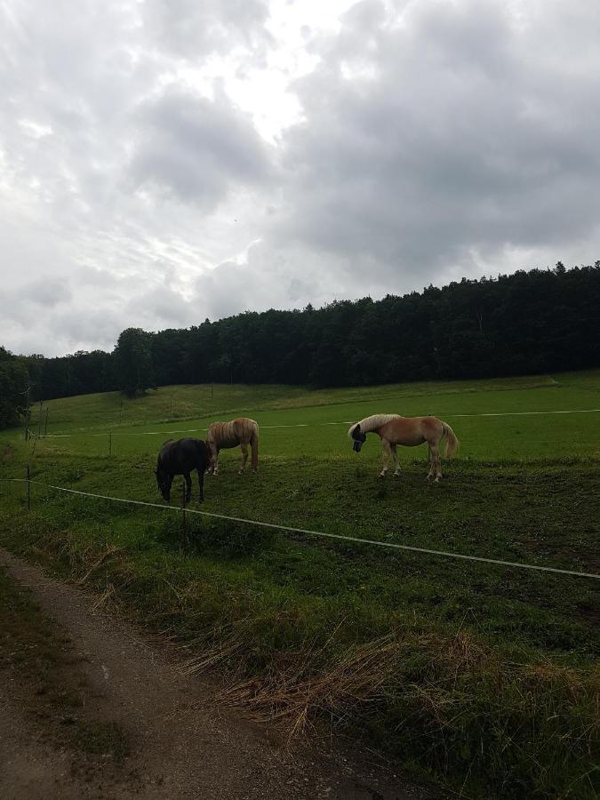 Ferienwohnung Am Thueringen Radweg Rauda Exteriér fotografie
