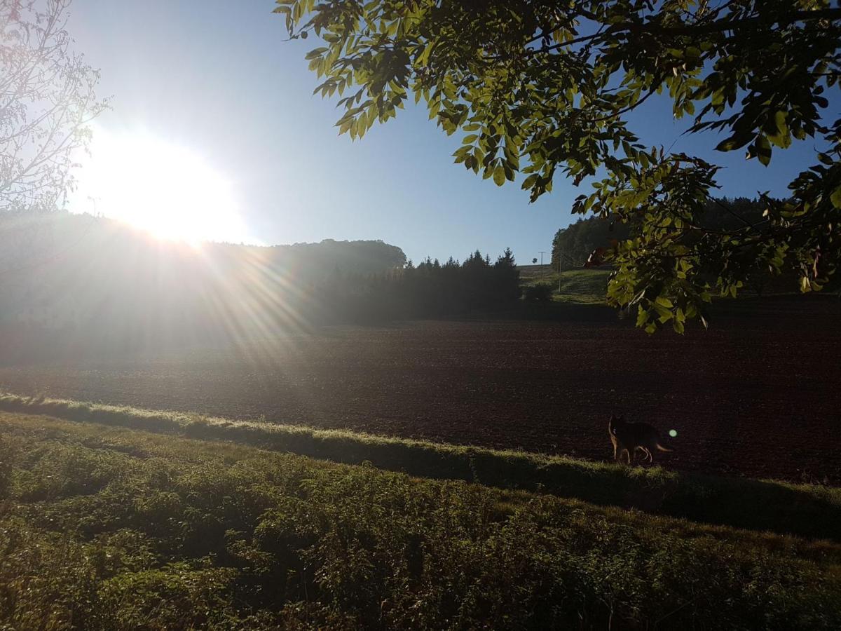 Ferienwohnung Am Thueringen Radweg Rauda Exteriér fotografie
